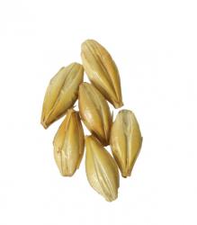 Crystal 20L 1 lb Milled